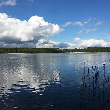 Apartament Holenderka Olek *