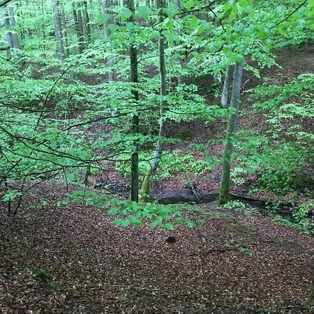 Holenderka Olek Appartement Stegers