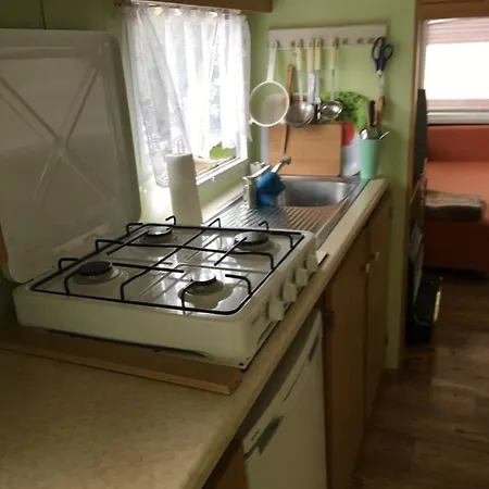 Holenderka Olek * Stegers