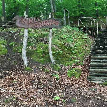 Appartement Holenderka Olek Stegers