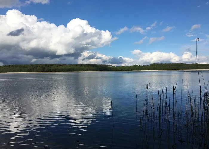 Апартаменты Holenderka Olek *