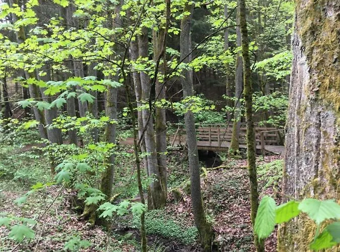 Апартаменты Holenderka Olek Rzeczenica