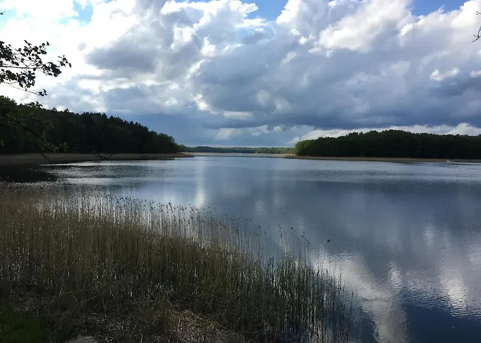 Holenderka Olek * Rzeczenica