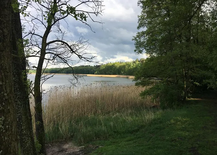 Апартаменты Holenderka Olek *