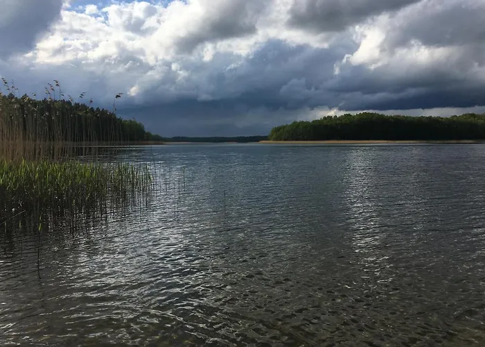 Holenderka Olek * Rzeczenica