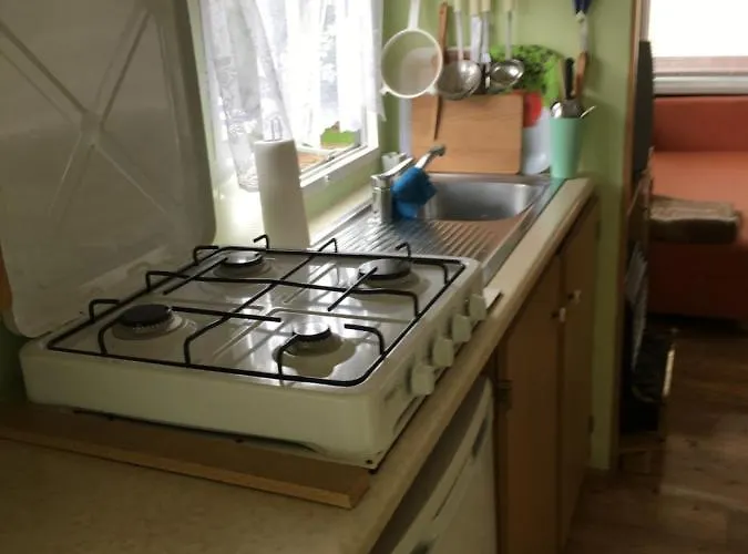 Holenderka Olek * Rzeczenica