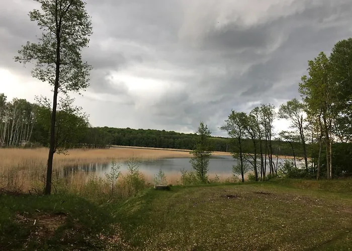 Апартаменты Holenderka Olek