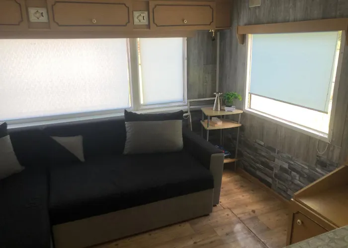 Holenderka Olek * Rzeczenica